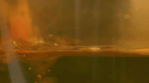 雞肉、鹽、料酒入冷水鍋水開后撇去浮沫，溫水洗凈。