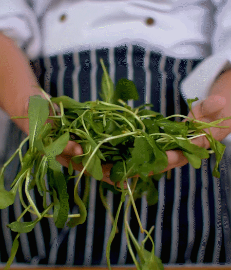 馬蘭頭焯水，切成細(xì)末。